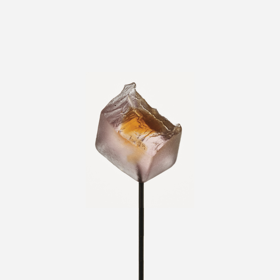 Sleep Daily Functional Mushroom Gummies
