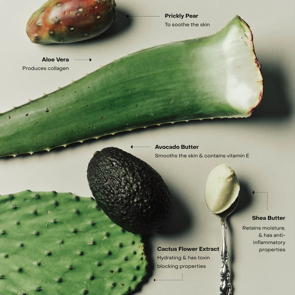 WIRED Body Exfoliant Wash