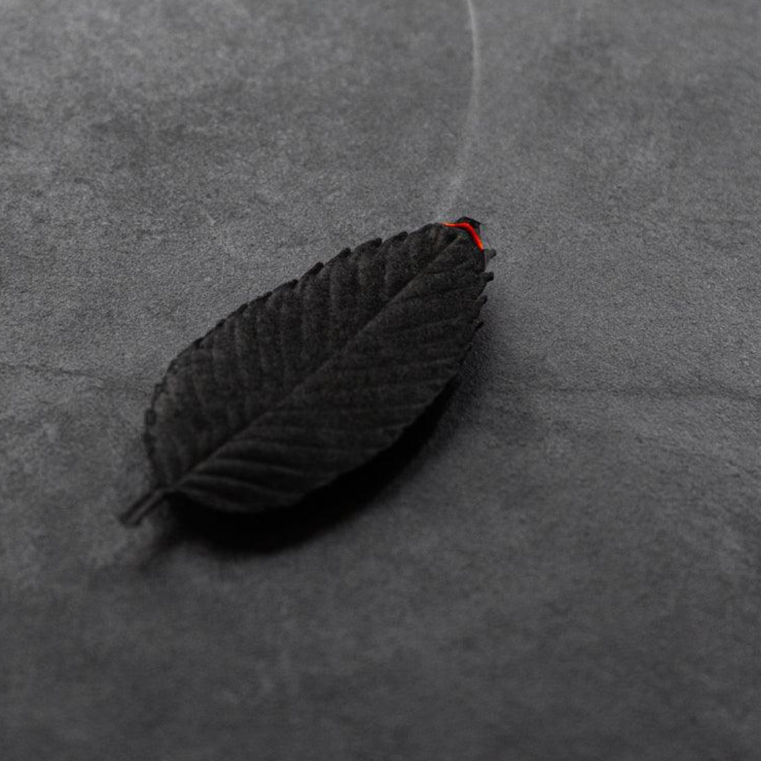 Paper Incense - Focus