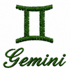 Gemini Symbol