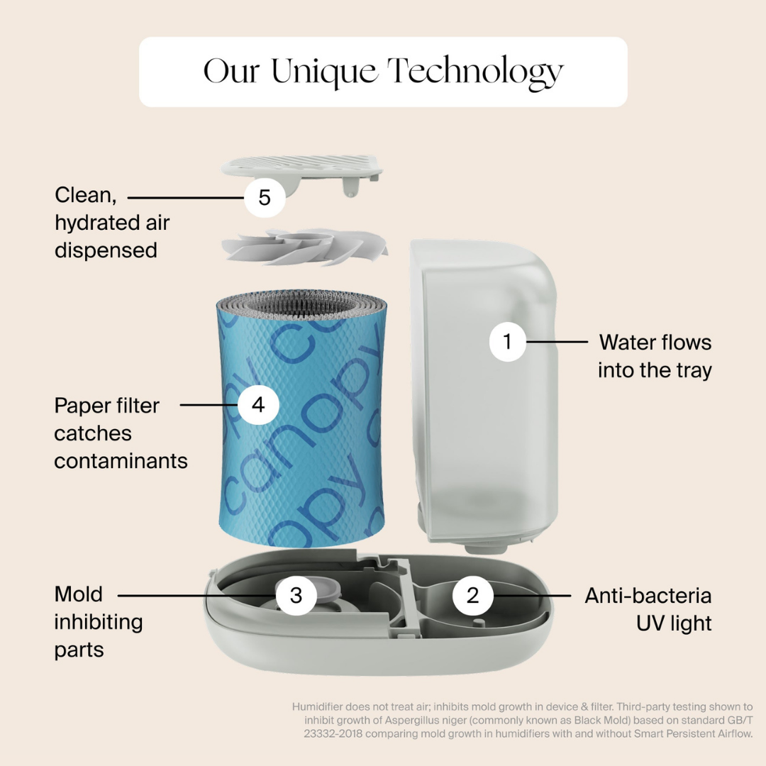 Large Room Humidifier