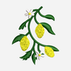 Summer Embroidery - 05