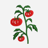 Summer Embroidery - 03