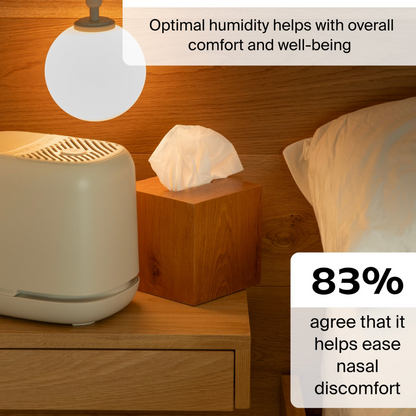 Bedside Humidifier 2.0