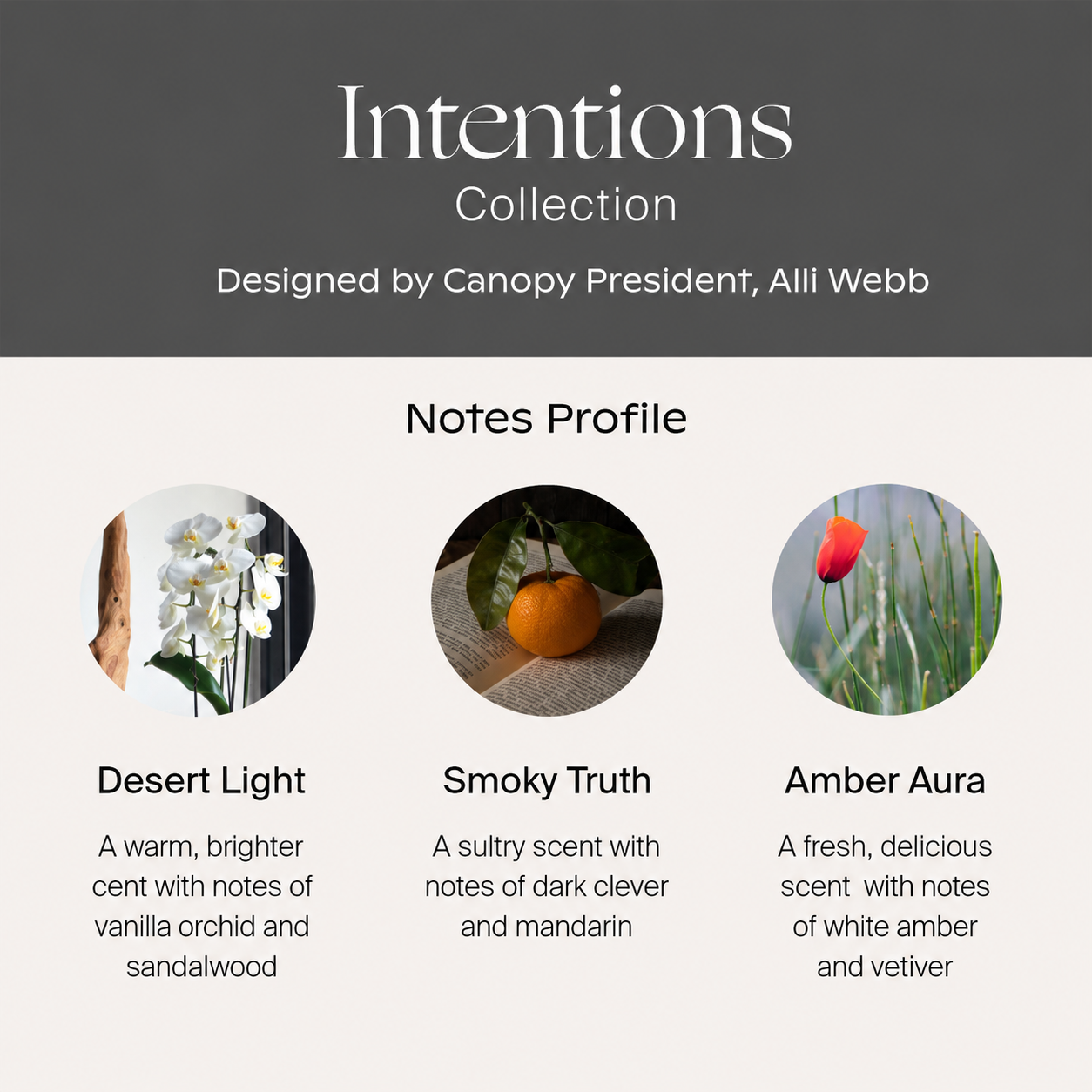 Intentions Essential Oils Aroma Kit