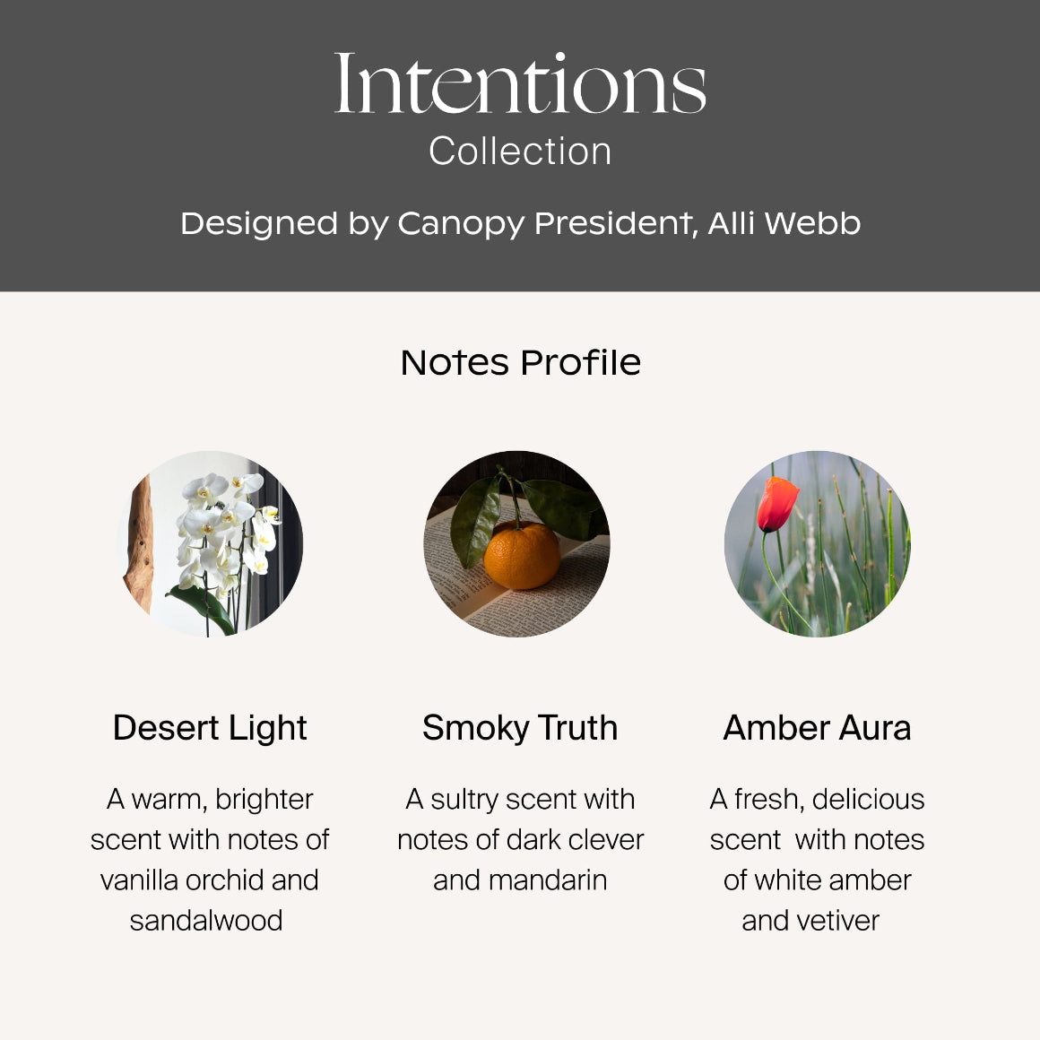 Intentions Essential Oil Aroma Kit