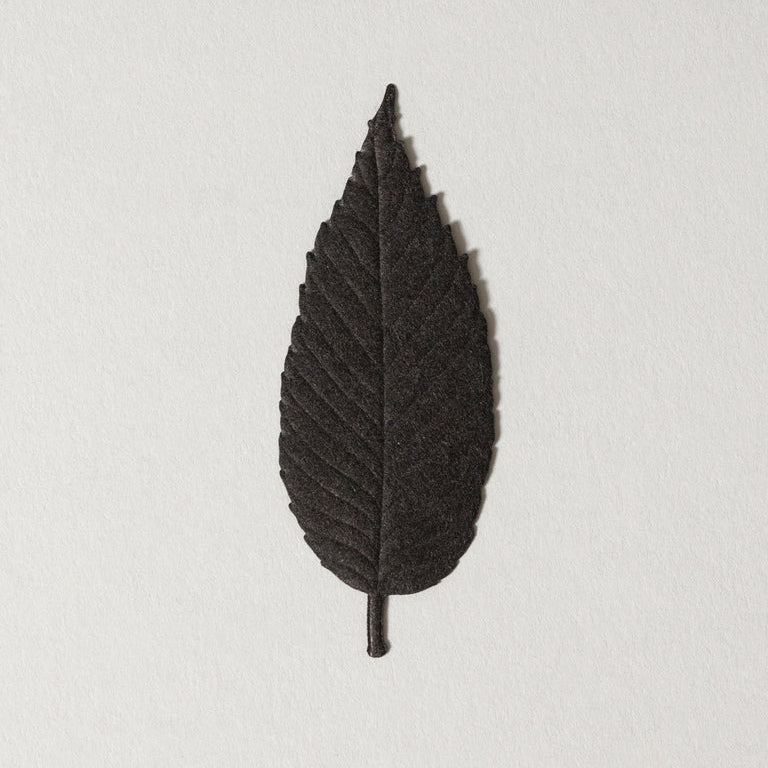 Paper Incense - Sleep