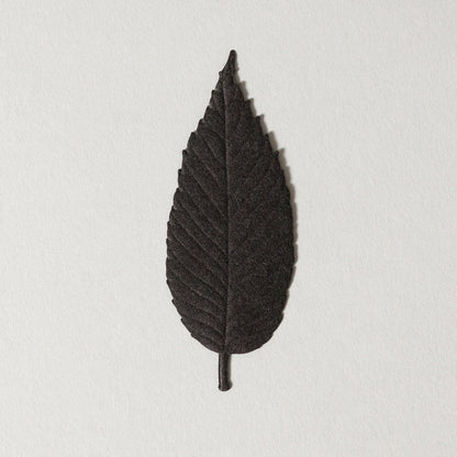 Paper Incense - Sleep