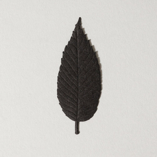 Paper Incense - Sleep