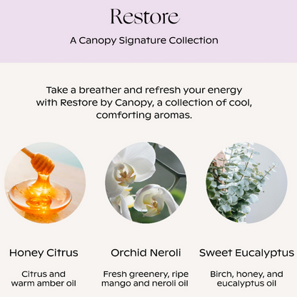 Restore Essential Oils Aroma Kit