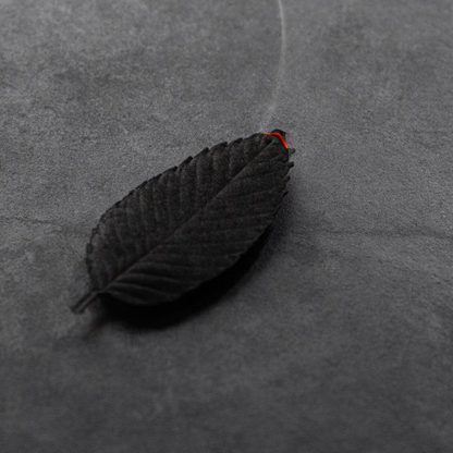 Paper Incense - Focus