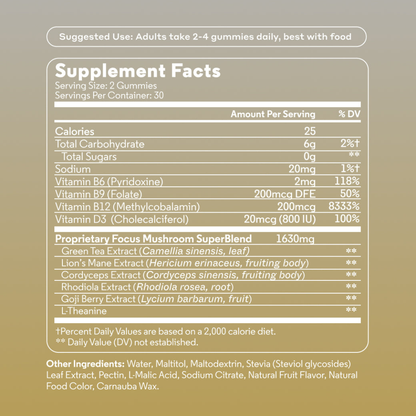 Focus, Chill & Sleep Mushroom Gummies Essentials Kit
