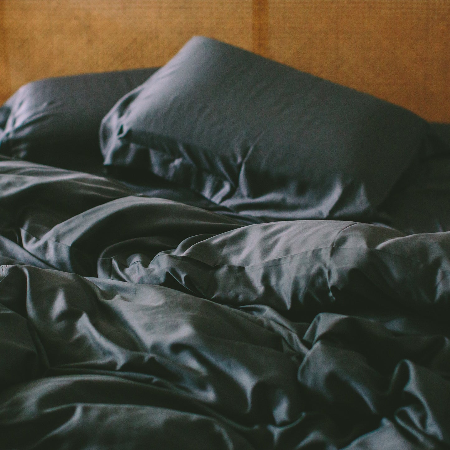 Bamboo Duvet Cover Set & Shams