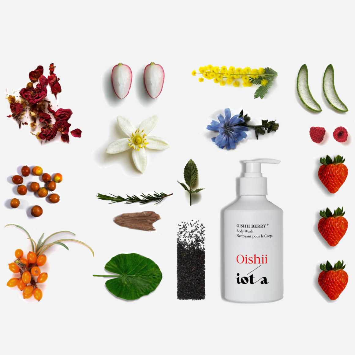 Limited Edition Oishii Berry Body Wash+