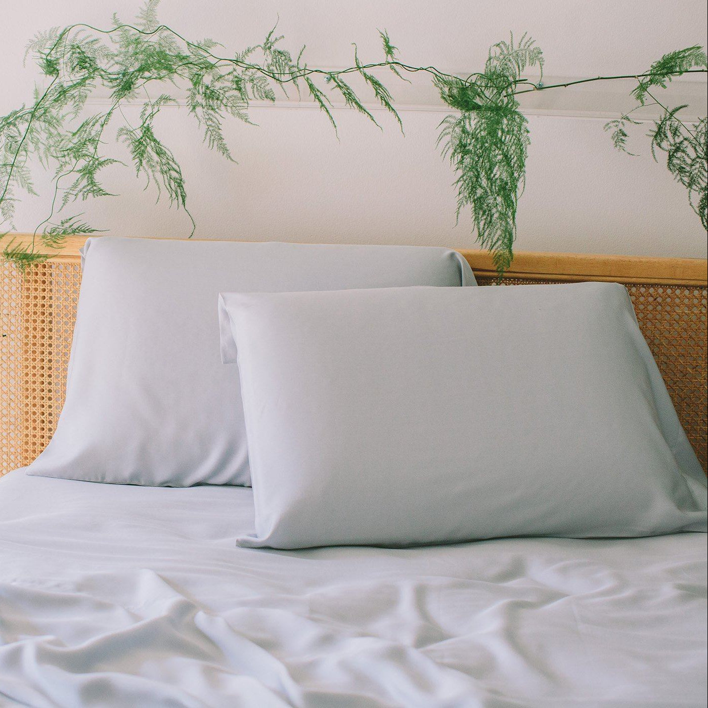 Bamboo Sheet Set & Pillowcases