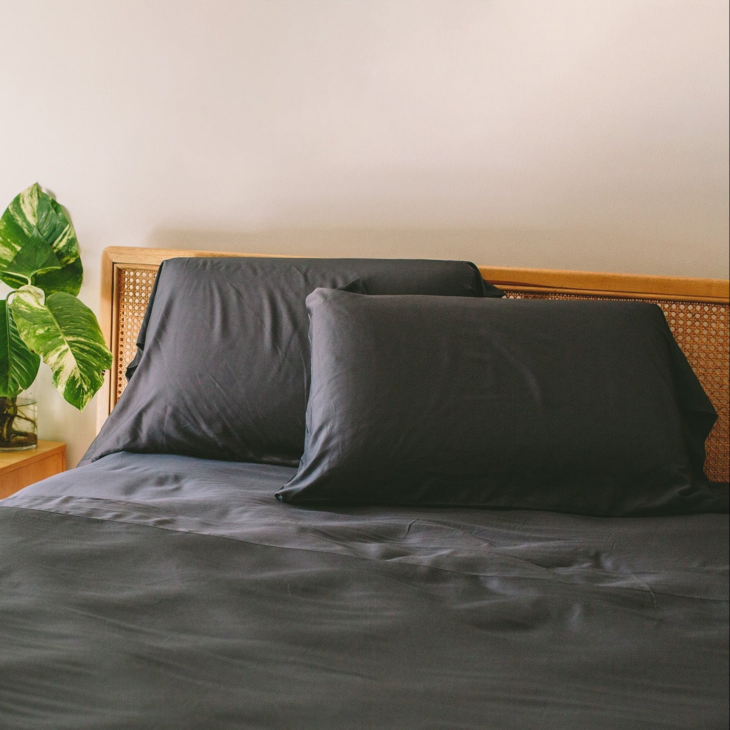 Bamboo Sheet Set & Pillowcases